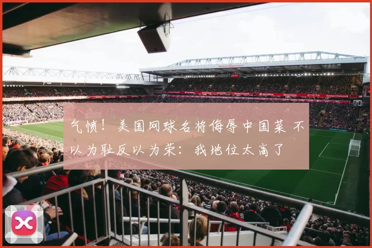 气愤!美国网球名将侮辱中国菜 不以为耻反以为荣:我地位太高了