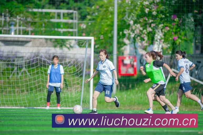 乐鱼平台生态图